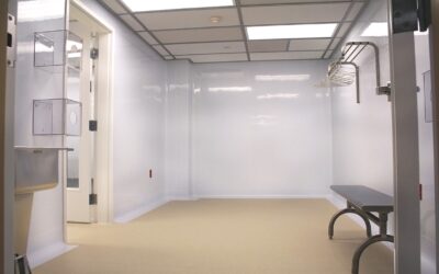 Safe, Happy, & Healthy