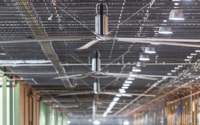 10 Strategies to Keep Your Warehouse Cool This Summer